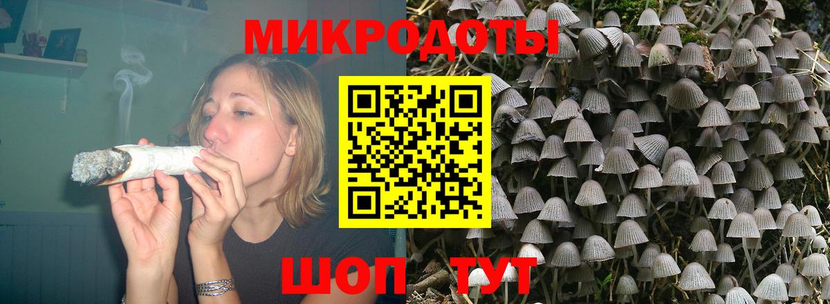 Псилоцибиновые грибы прущие грибы Луга